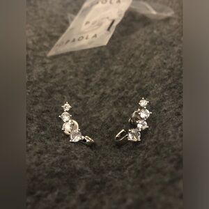 Silver Earrings PDPAOLA new